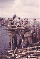 1963 Deichverteidigungsübung an der Nordseeküste in Schmarren